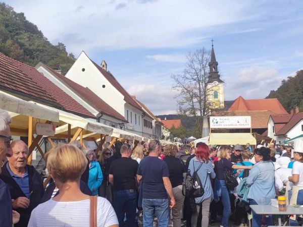 Centri interpretacije zavarovanih območij na Prazniku kozjanskega jabolka