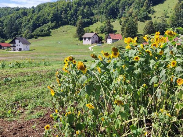 Vabilo ekološkim kmetovalcem iz območja LAS s CILjem