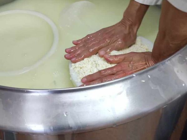 Delavnica predelave mleka na območju LAS s CILjem