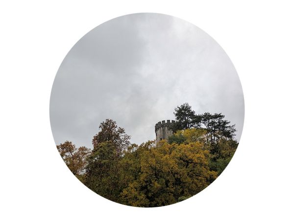 STROKOVNA EKSKURZIJA LAS s CILjem – NA OGLEDU DOBRIH PRAKS OBMOČJA LAS VIPAVSKA DOLINA