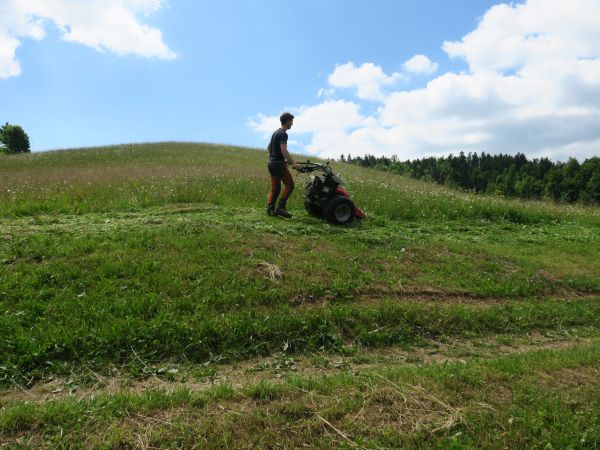 Brošura Turistični produkt povezan z ekološkim kmetovanjem 