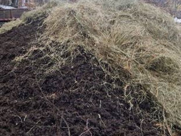 Delavnica na Vojskem PRAVILNO RAVNANJE Z ORGANSKIMI GNOJILI - kompostiranje