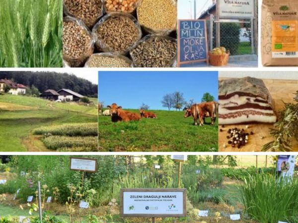 Projekt »Prehod na sonaravno oskrbo s hrano« podpira in spodbuja dobre prakse s področja ekološkega kmetovanja