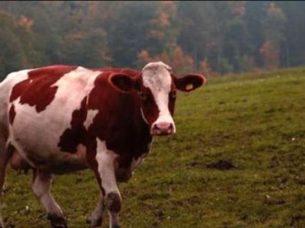 Vabimo vas na predavanja 